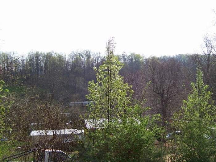 Tennessee Strut Your Spring Stuff (Kingsport, Church Hill coupon